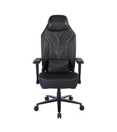 大規模なリーダーレーシングチェア